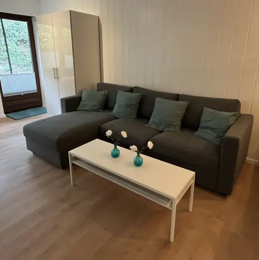 large comfortable sofa in the apartment in Winterberg