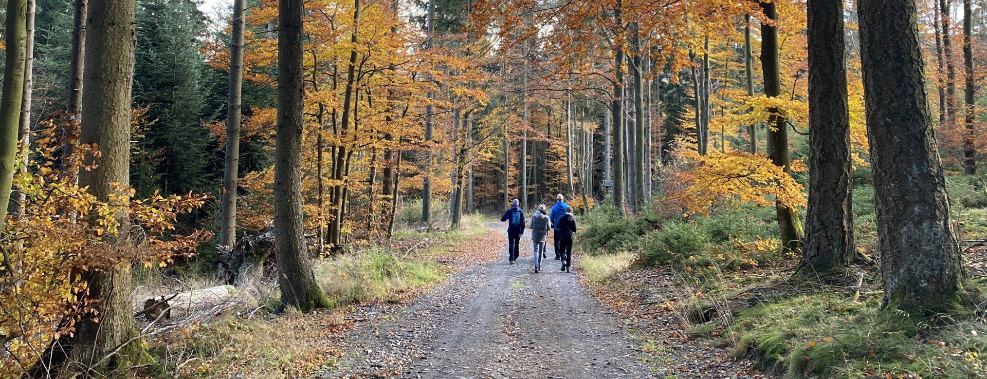 Wandern in Winterberg