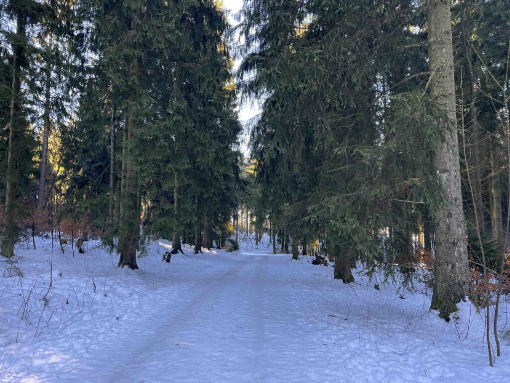 Winterwandern in Winterberg