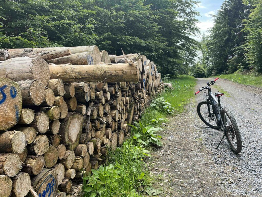 Bike Arena Sauerland Panorama Tour 11 Holzstapel