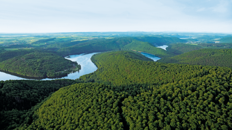 Nationalpark Kellerwald Buchenmeer