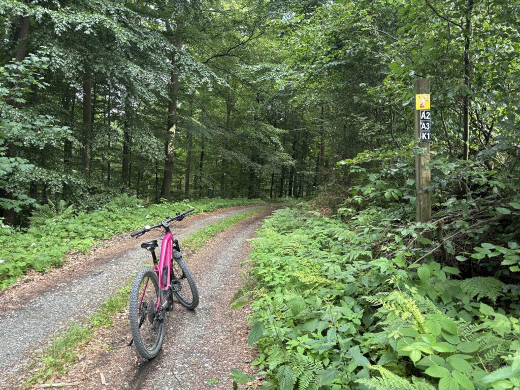Bikearena Sauerland mit Cube Bike