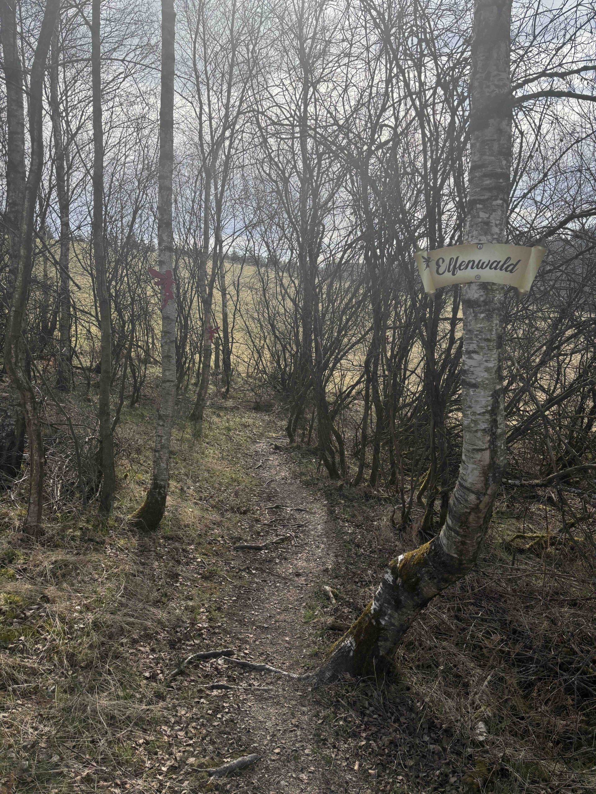Elfensteig Winterberg Elfenwald