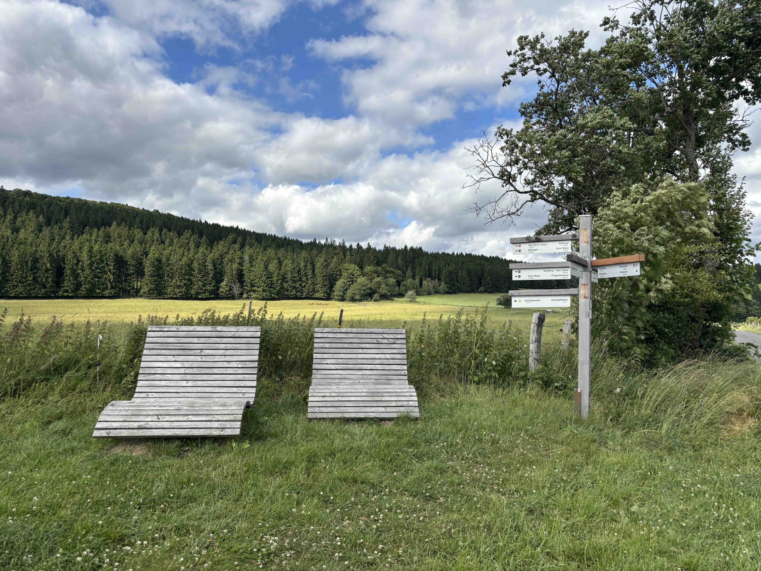 Hillekopf Wegweiser mit Bönken
